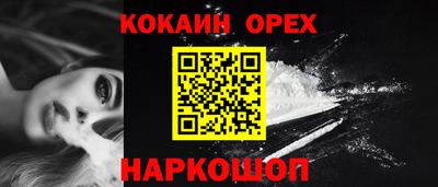 сатива Можга