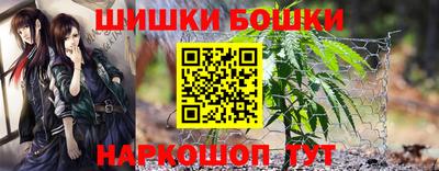 сатива Можга