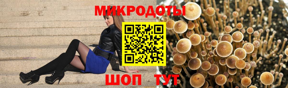 Псилоцибиновые грибы Psilocybine cubensis Серов