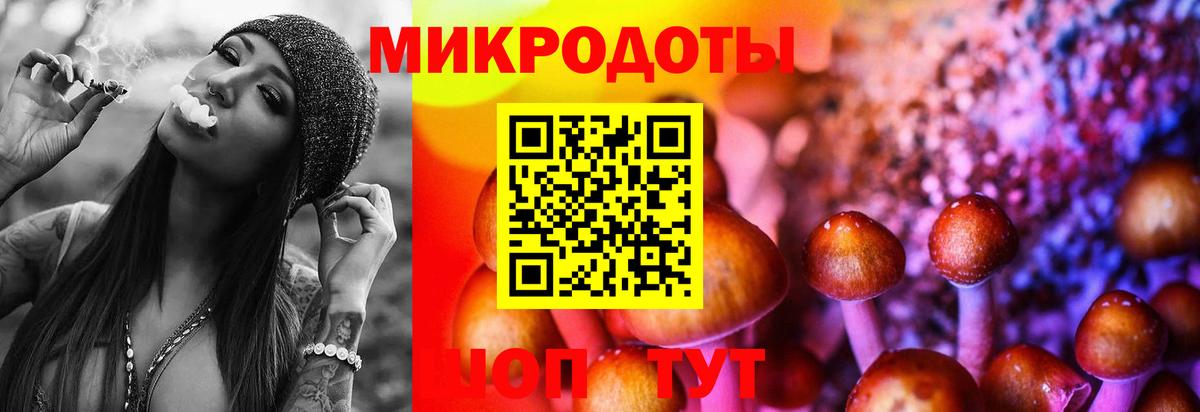 Псилоцибиновые грибы мухоморы  Вход с VPN  Серов 